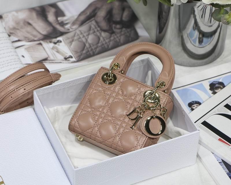 DIOR Handbags 100